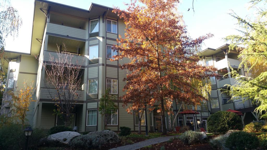 Plaza Inn & Suites At Ashland Creek Eksteriør billede